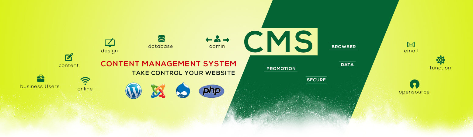 cms, custom cms, cms development, cms design, cms development company india, cms developer in india, cms designer in chennai